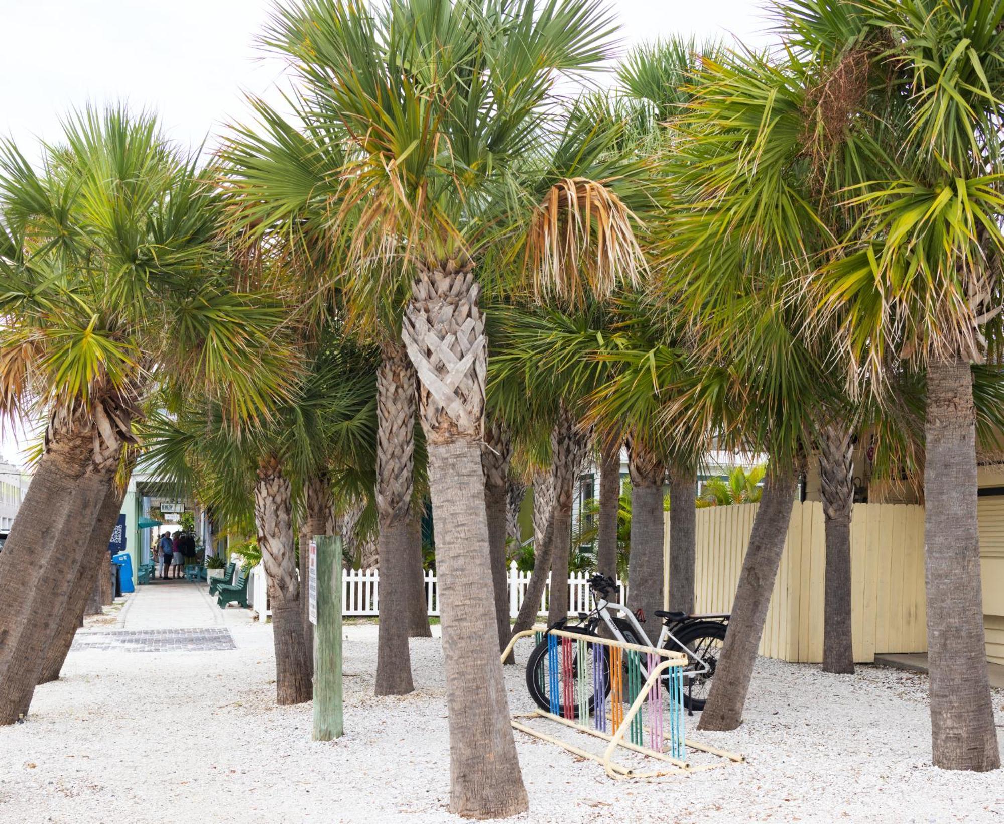 The Hotel Zamora St. Pete Beach Esterno foto